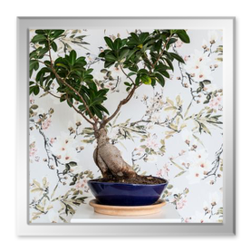 Tapeta s větvičkami s květinou bonsai v popředí